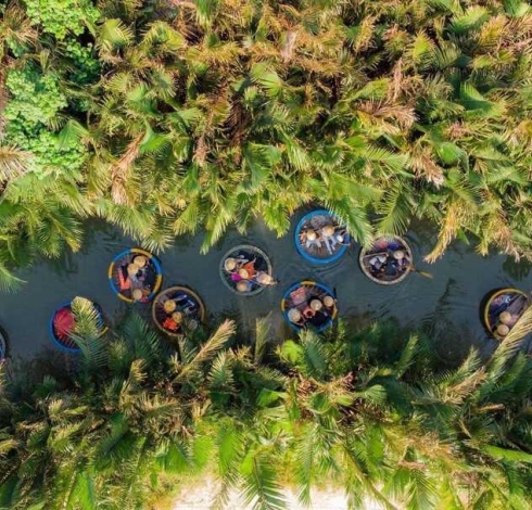 What's fun in the Bay Mau Coconut Forest?