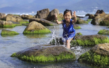 bãi rạn Nam Ô Đà Nẵng - Phú Minh Quang Đà Nẵng