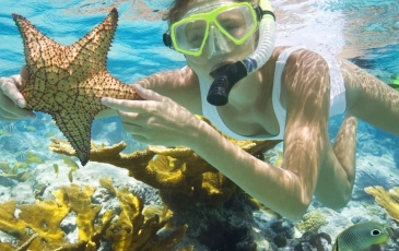 Bãi Cát Vàng Đà Nẵng - Phú Minh Quang Travel