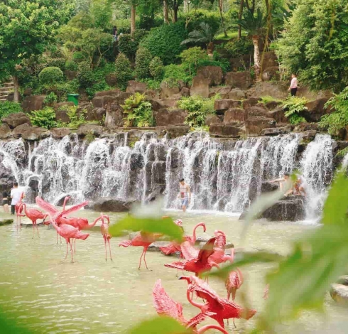 Suối Mơ Đà Nẵng - Phú Minh Quang Travel