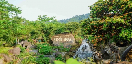 Suối Hoa Đà Nẵng - Phú Minh Quang Travel