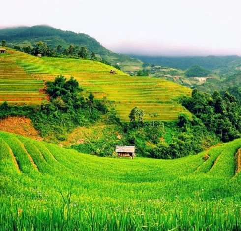 Khám phá vẻ đẹp vòng cung Tây Bắc Việt Nam