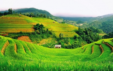 Khám phá vẻ đẹp vòng cung Tây Bắc Việt Nam
