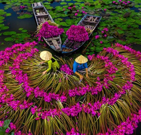 Mekong Delta Tourism – A Fresh Experience for Indian Tourists