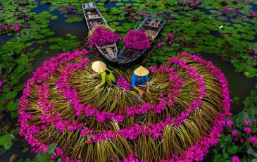 Mekong Delta Tourism – A Fresh Experience for Indian Tourists