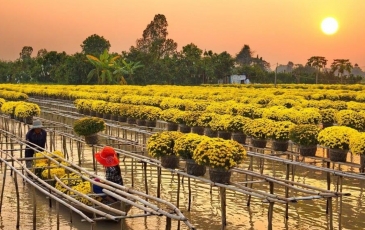 TOP 10 TRADITIONAL CRAFT VILLAGES IN THE MEKONG DELTA