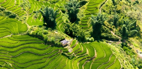 Admiring the Terraced Fields of Northwest Vietnam
