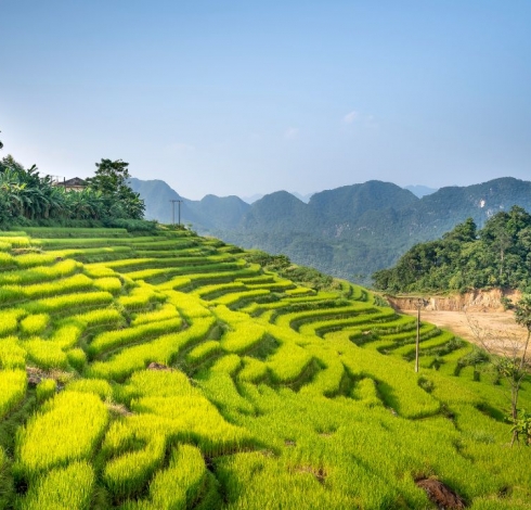 Pù Luông
