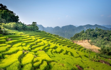 Pù Luông - Điểm Đến Không Nên Bỏ Qua Trong Lễ 2/9 Này