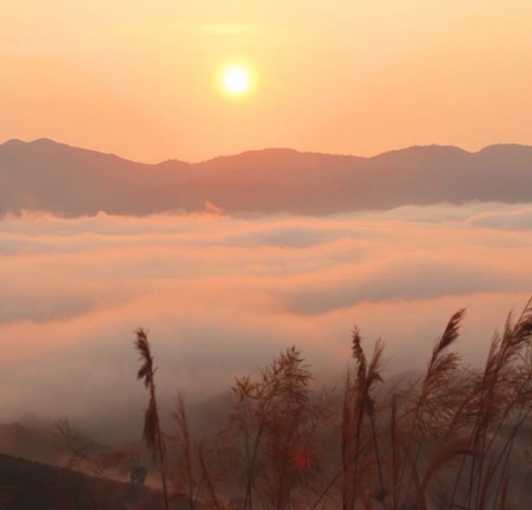 doi-vo-uu-lam-dong