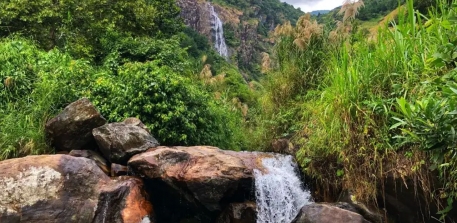 thac-tac-tinh-lai-chau