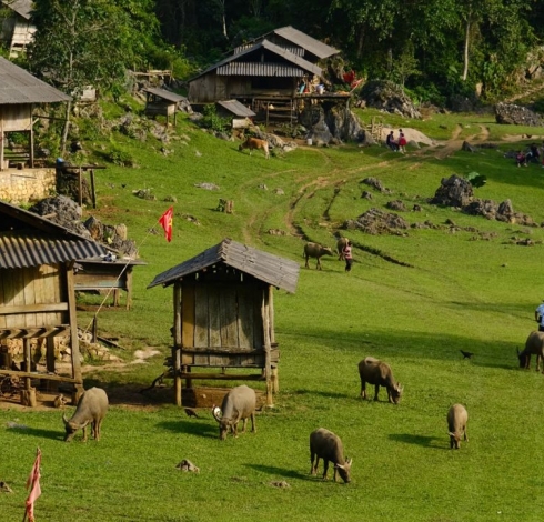 Hang Táu Mộc Châu - Làng Nguyên Thủy Đẹp Quên Lối Về