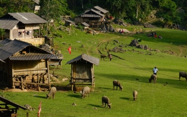 Hang Táu Mộc Châu - Làng Nguyên Thủy Đẹp Quên Lối Về