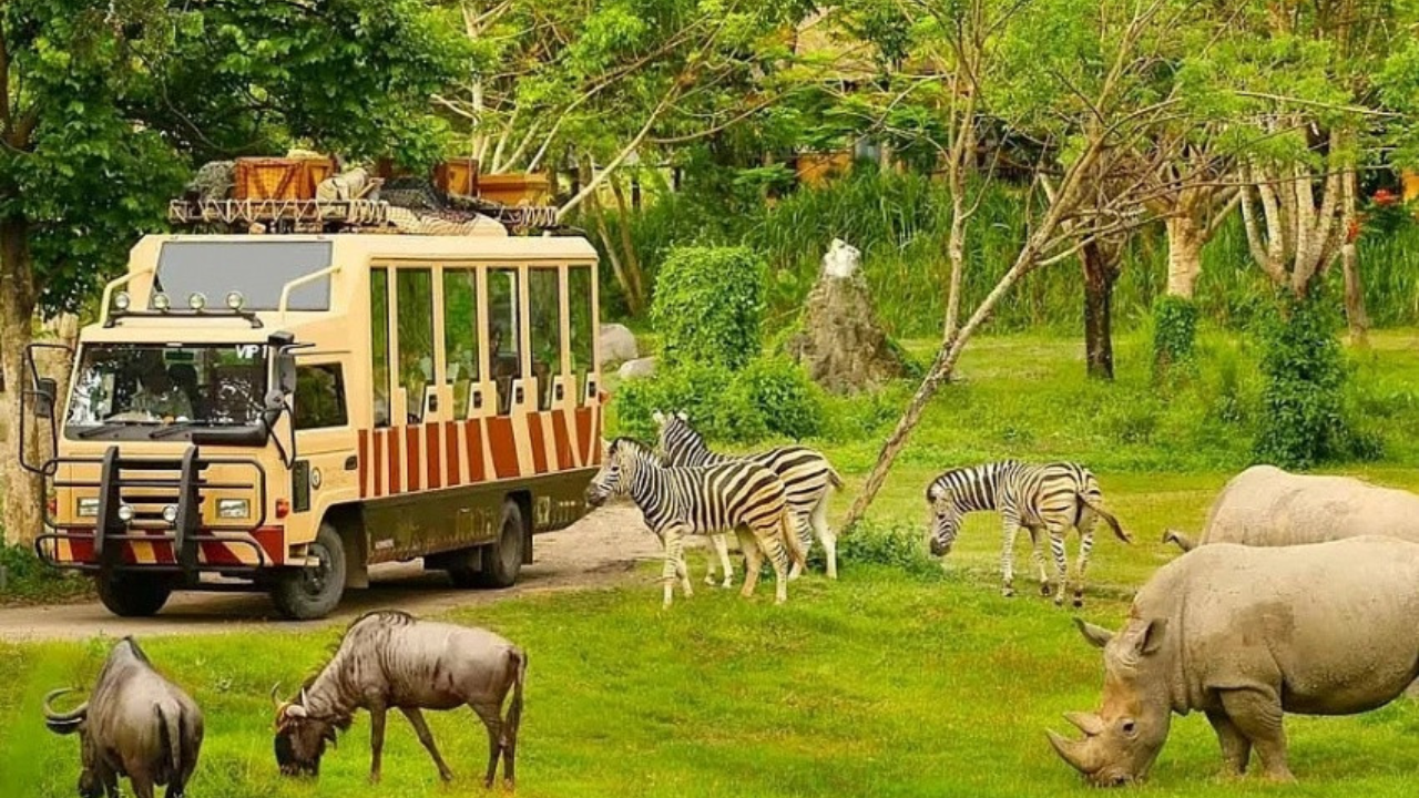  Suggested summer tour in Phu Quoc