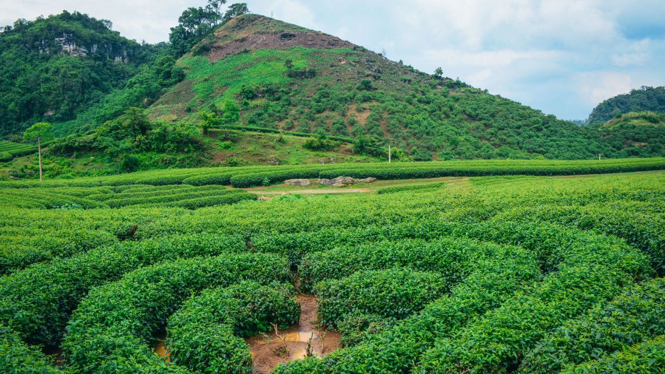 Top Things To Do In Vietnam For Indian Travelers