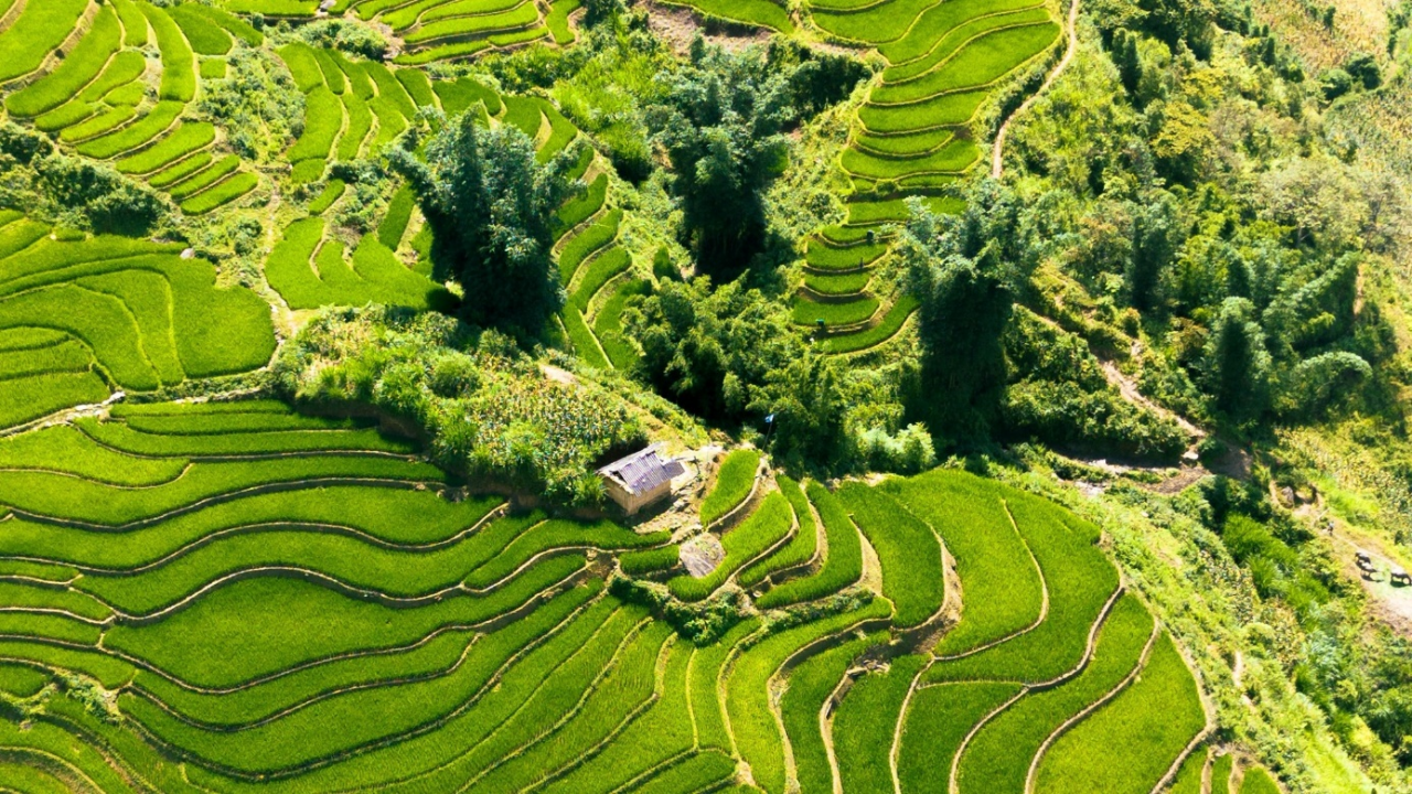 VietNam Travel 