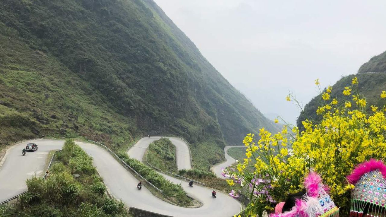 Cách đi từ Hà Nội đến Hà Giang để ngắm hoa Tam Giác Mạch
