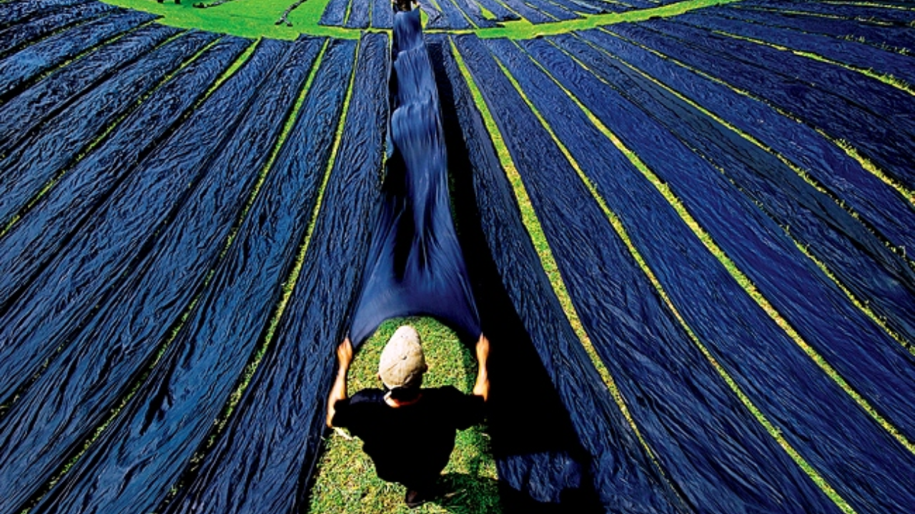 Tan Chau Silk Village