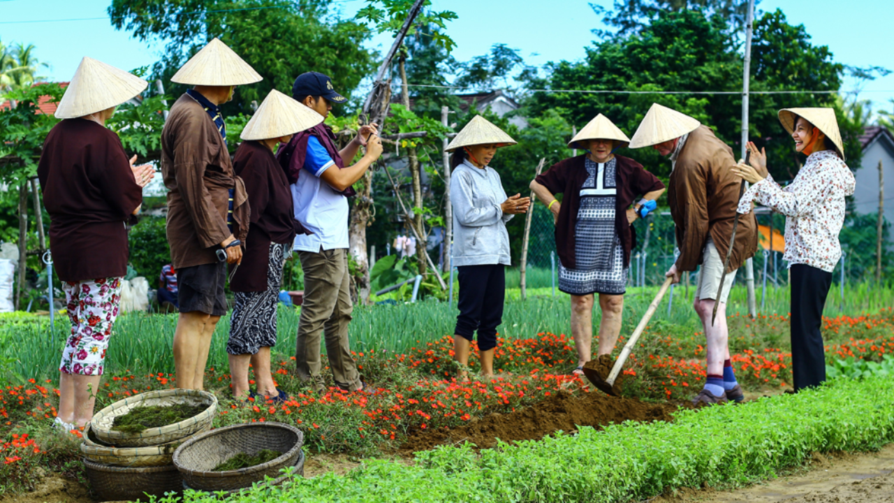 Tra Que Vegetable Village