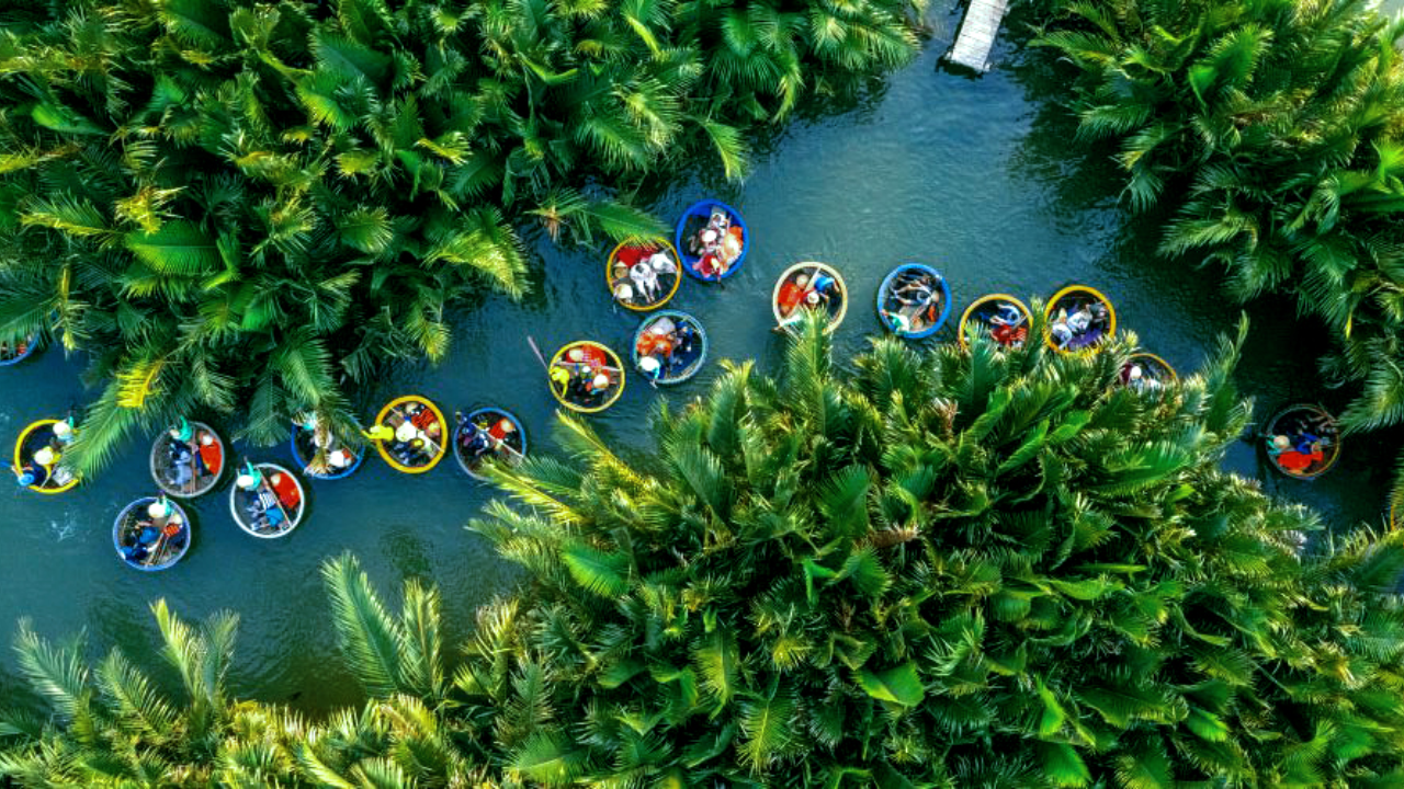 Bay Mau Coconut Forest