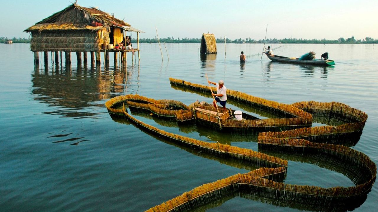 Khám phá Đầm Dơi khi đi du lịch Cà Mau