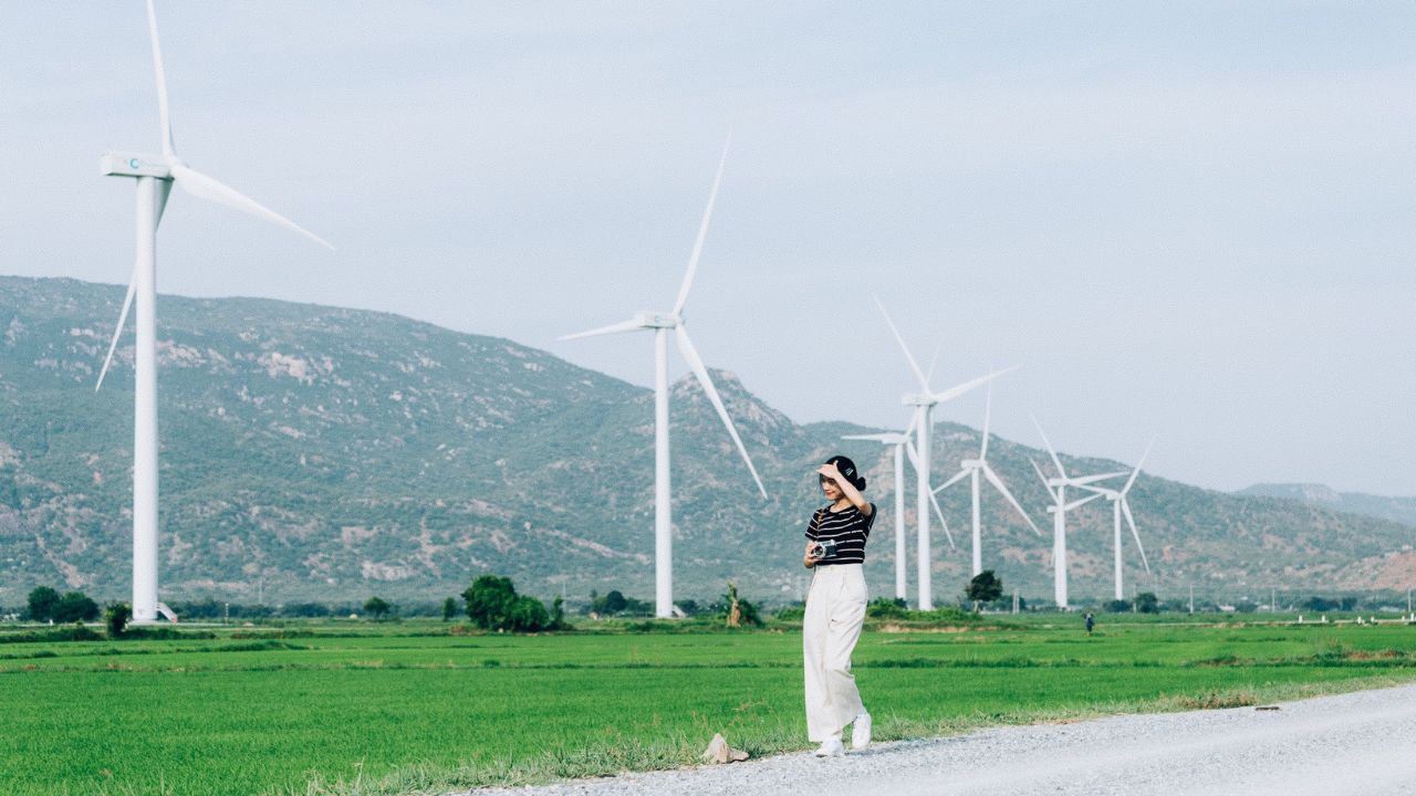 Kinh nghiệm chụp ảnh đẹp tại cánh đồng điện gió Đầm Nại