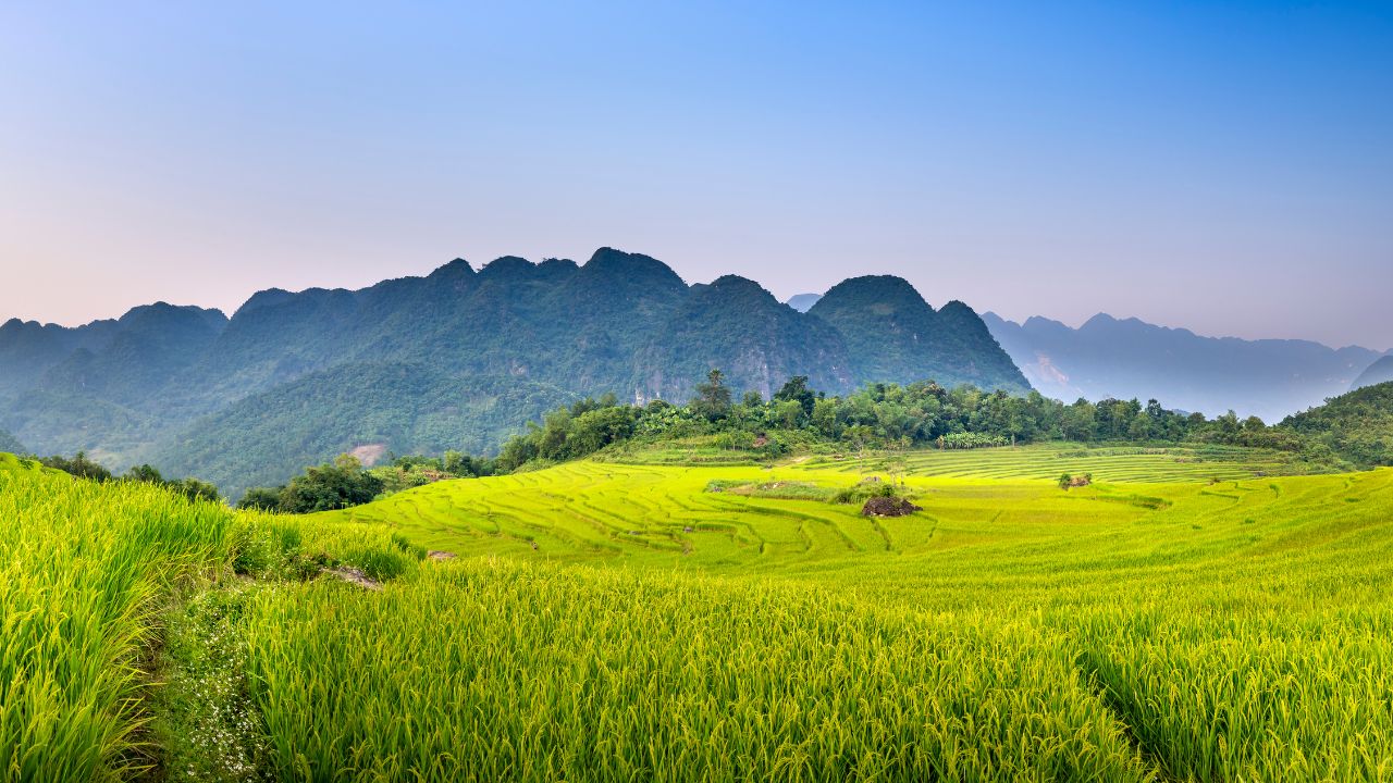 Lịch trình 2 ngày 1 đêm khám phá Pù Luông