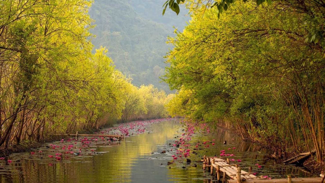 Suối Yến điểm tham quan không thể bỏ qua tại chùa Hương Hà Nội