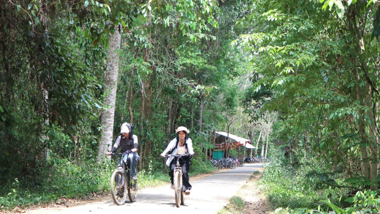 Thời điểm lý tưởng để đến Vườn Quốc gia Cát Tiên