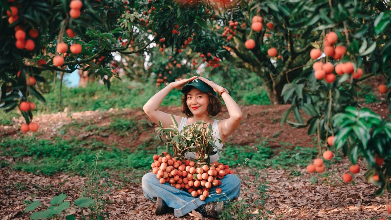 Thưởng thức đặc sản Lục Ngạn tại Hồ Cấm Sơn Bắc Giang
