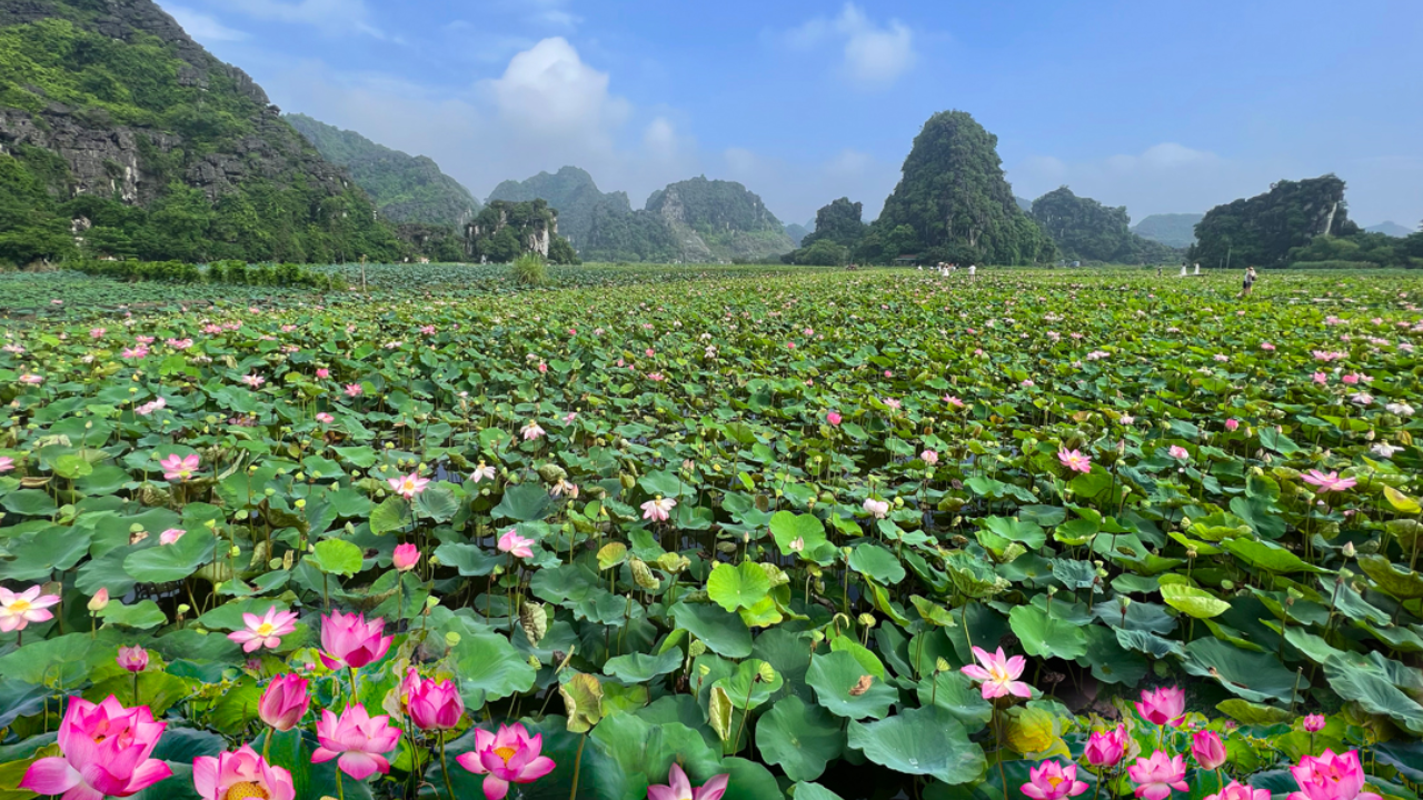 Trang An Ninh Binh Viet Nam