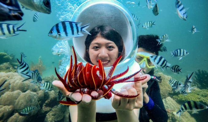 tour cano đảo | Phú Minh Quang