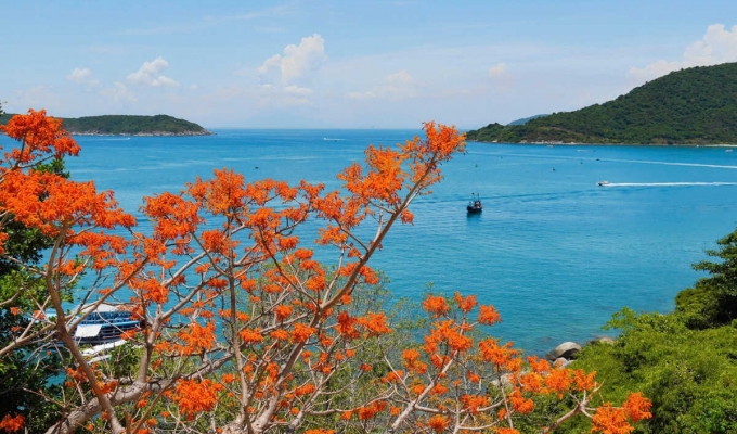 Tour Cù Lao Chàm Đà Nẵng | Phú Minh Quang Travel