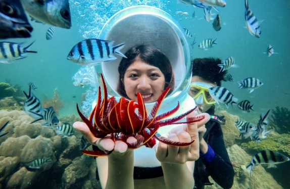 tour cano đảo | Phú Minh Quang